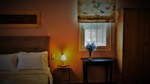 Aparthotel Αραϊδου΄-Araidoy à Ioannina Extérieur photo