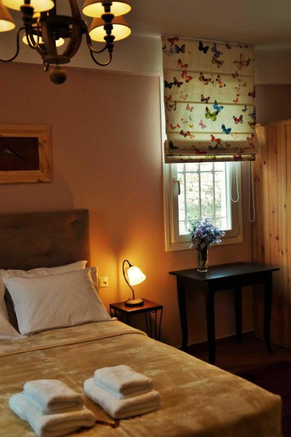 Aparthotel Αραϊδου΄-Araidoy à Ioannina Extérieur photo